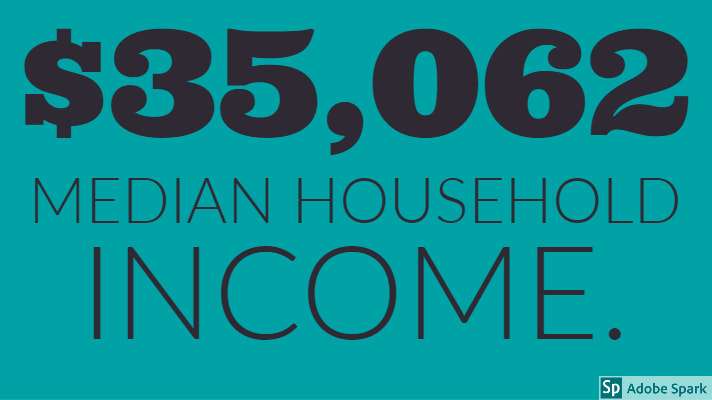 $35,062 median household income