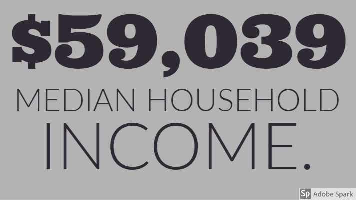 $59,039 median household income